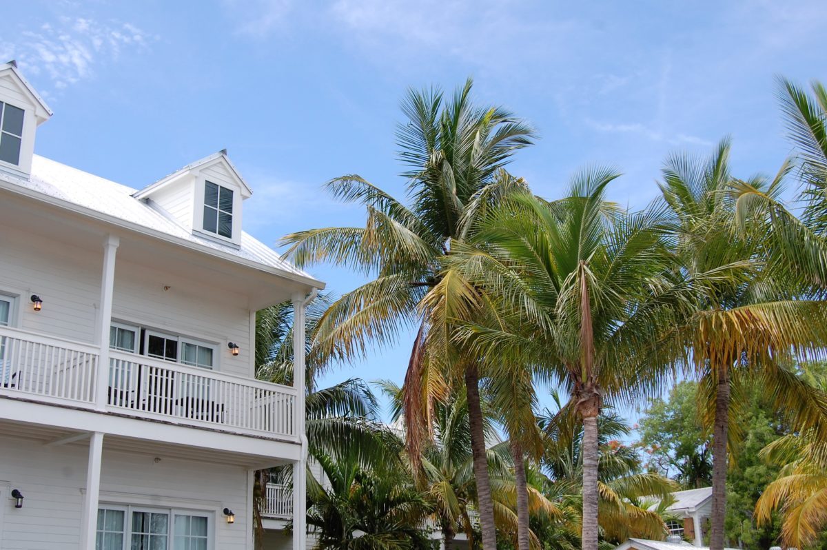Love the island