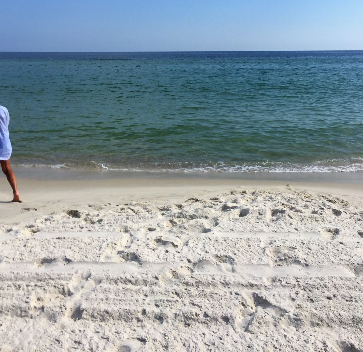 SHARKS by the Beach–and a Half-Eaten Fish!!