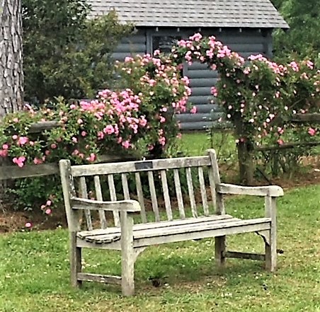 American Rose Center Shreveport