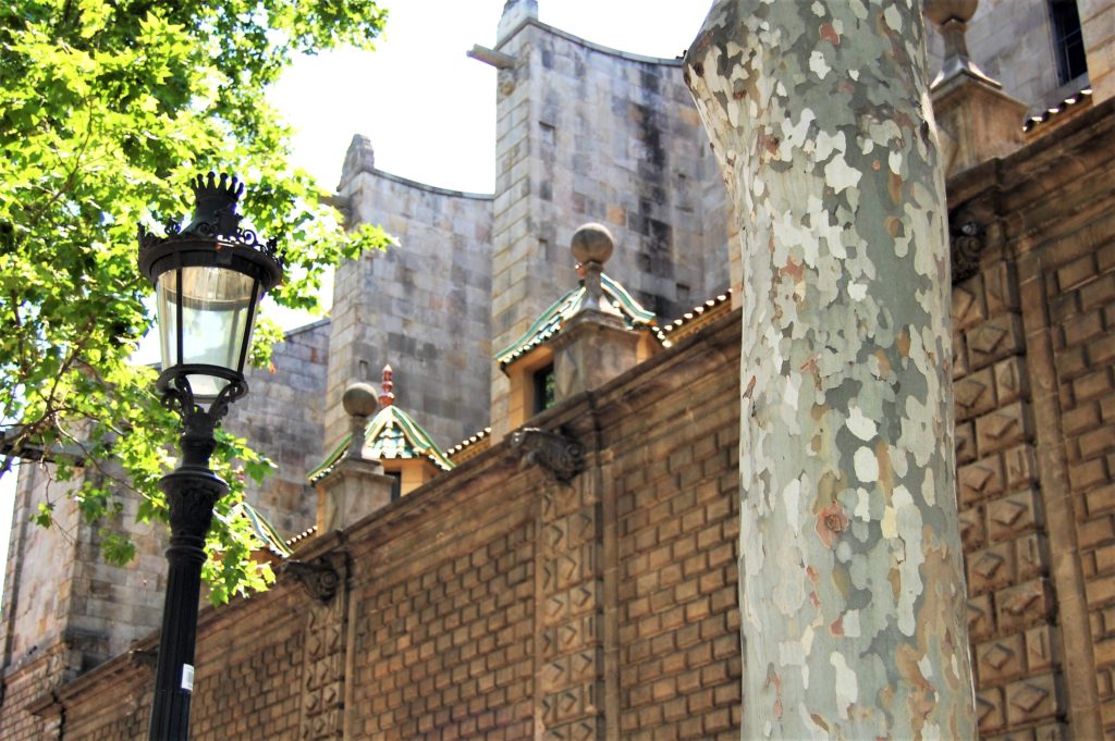 things to do in Barcelona