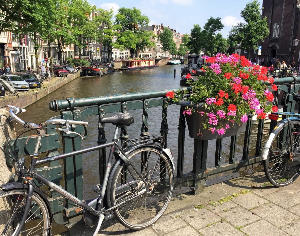 10 Great Reasons You Should Visit Amsterdam