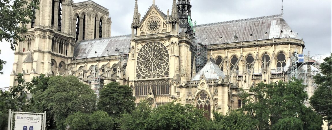 IMG_5681 (2) IMG_5681 (2)